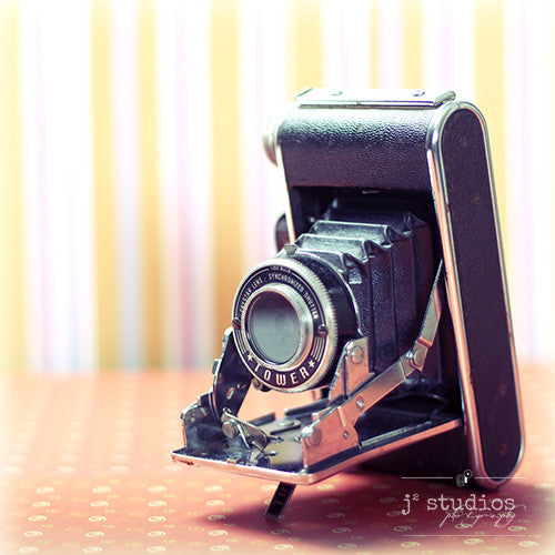 Vintage Camera #2 is an art print of a Folding Sears Tower Model 51 camera. 