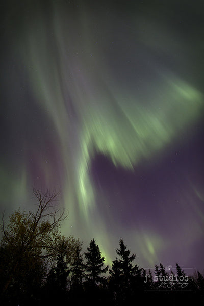 Waves is an art print of Northern Lights over trees in a countryside near Edmonton.