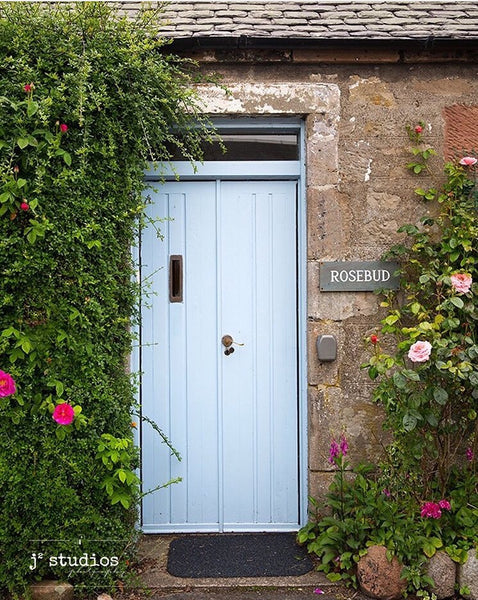 Image of Baby Blue Door framed by Rose vines. Scottish charm seen in a little village in Scotland. 